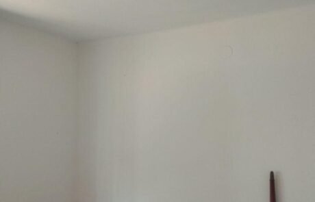 Isabel Ramirez Bullon